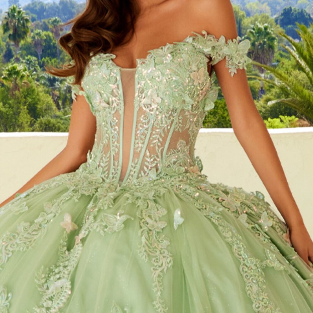 New Ceremonial Long Quinceanera Gown w/ Floral Applique & Long Train JT1485J - Picture 5 of 9